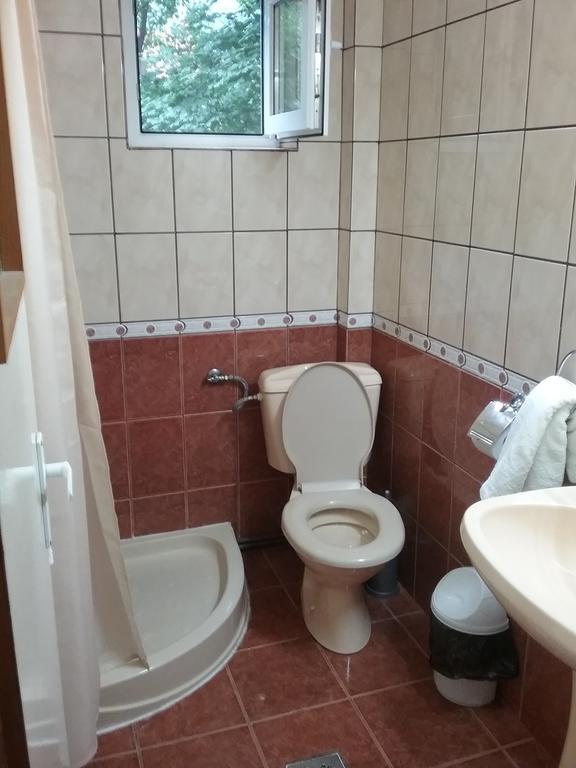 Pensiune Restaurant Sfinx Busteni Bagian luar foto